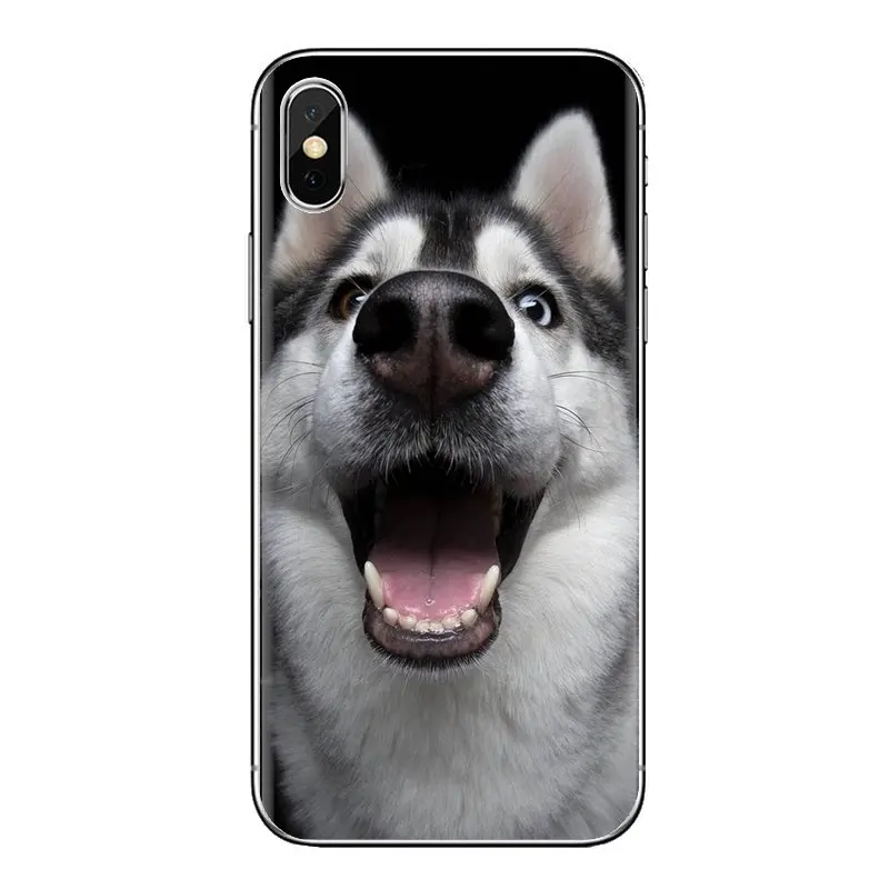 Чехол для телефона Doge интернет забавное лицо samsung Galaxy S2 S3 S4 S5 MINI S6 S7 edge S8 S9 Plus Note 2 3 4 5