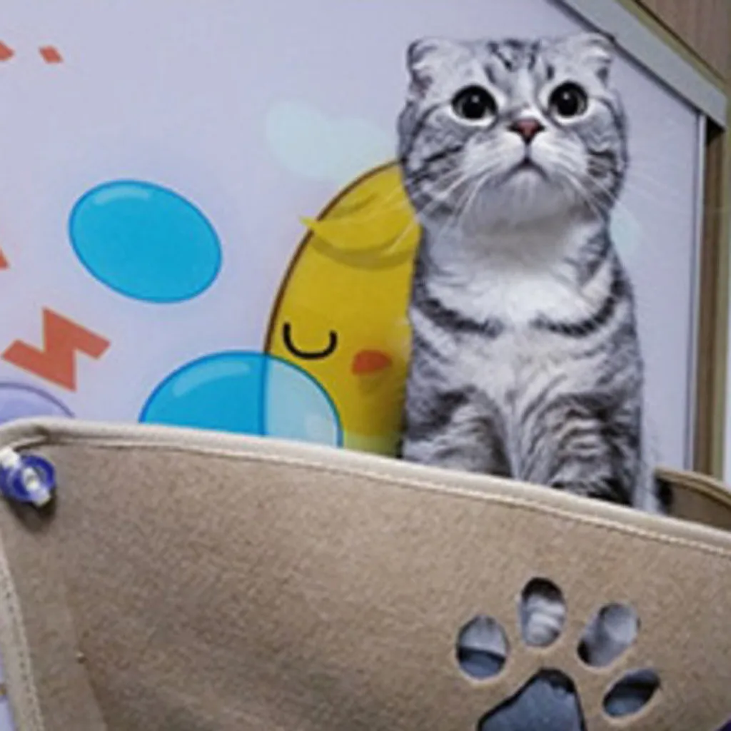 Аксессуары для собак присоска с окошком кошек детская кроватка кота товары