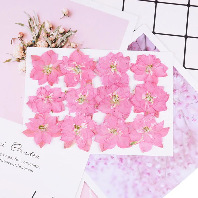 Style A Deep Pink 12 шт./упак. консервированные Цветочные прессованные цветы маленькие сушеные цветы для скрапбукинга сухие DIY чехол для телефона Mini bloemen flores secas - Цвет: Style A Deep Pink