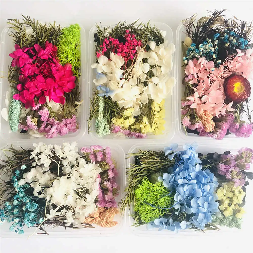 1 коробка средство для наполнения сухими растениями УФ смола эпоксидная форма