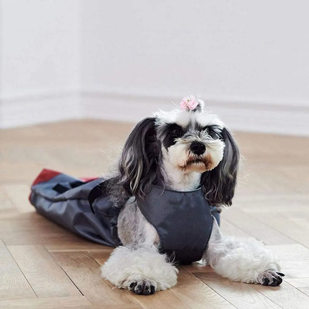 

Breathable Drag Bag For Paralyzed Pets Wear-Resisting Oxford Cloth Walking Drag Bag For Disabled Dog Cat