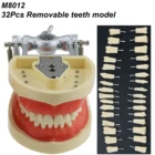 Стоматологическая модель типоне с kilгор Nissin 200 Тип 32 съемные винтовые зубы для обучения