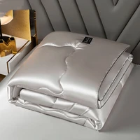 washable summer ice silk air conditioning thin quilt adult kids home textiles high density luxury bedding queen king size
