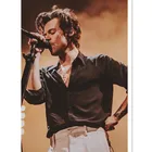 DIY Краски ing по номерам певица акриловая краска по номерам настенная живопись на холсте абстрактные ручной Краски ed масла Краски ing для дома