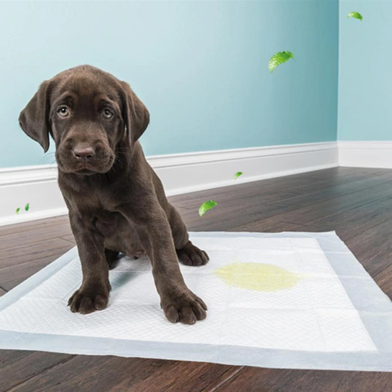 100/50/40/20PCS Super Absorbent Pet Diaper Dog Training Pee Pads Disposable Healthy Nappy Mat For Pet Dog Cats XL/L/M/S 4 Sizes