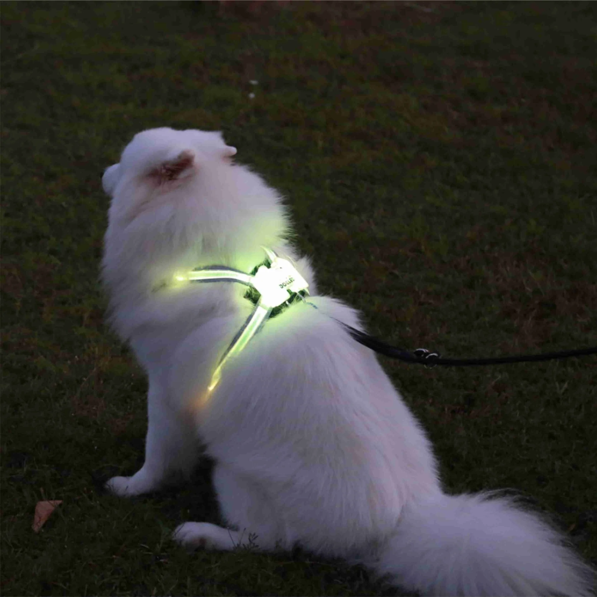

simon colorful cc dog collars Wholesale Cute Small Led Dog Safety Soft Mesh Pet Vest Harness and Leash For Outdoor