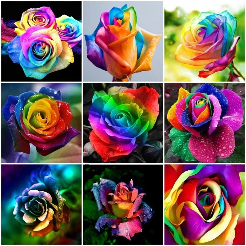 

Diamond Embroidery Flower 5D DIY Diamond Painting Colorful Rose Full Square Home Decor Mosaic Rhinestones Festival Gift
