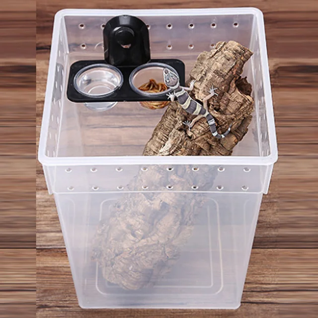 1pcs ABS Reptile Tank Food Water Feeding Bowl Insect Spider Ants Nest Snake Gecko Terrarium Breeding Feeders Box Pets Supplies 3