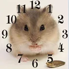 Набор для алмазной живописи kezinzu, картина с квадратными и круглыми стразами 5D, с часовым механизмом, вышивка крестиком, мозаика с животными, подарок