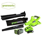 Уличный садовый воздуходув GreenWorks DigiPro G-MAX 40 в, беспроводной, переменная скорость 185 мильч, зарядное устройство 4 Ач