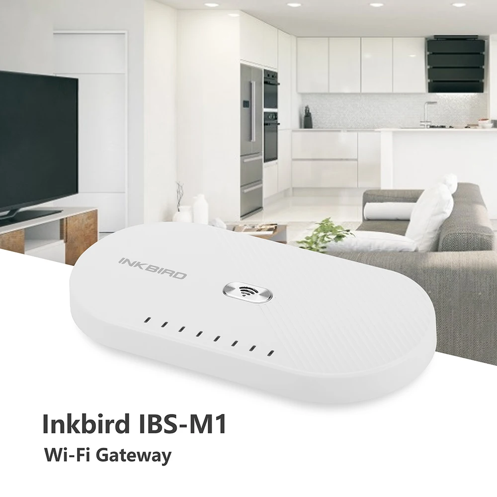 IBS-M1 WIFI Gateway With Remote Monitor&Real Time Alarm&Free Cloud Service Works with IBS-TH1、Mini、Plus、IBS-P01B、ITH-20R-O