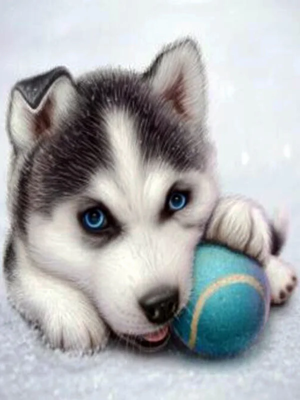 4 5d Животные Собака серия Diy Алмазная картина Huskies Алмазная вышивка Собаки Полный Круглый Diy Алмазная мозаика наклейки на стену рукоделие - Цвет: 4