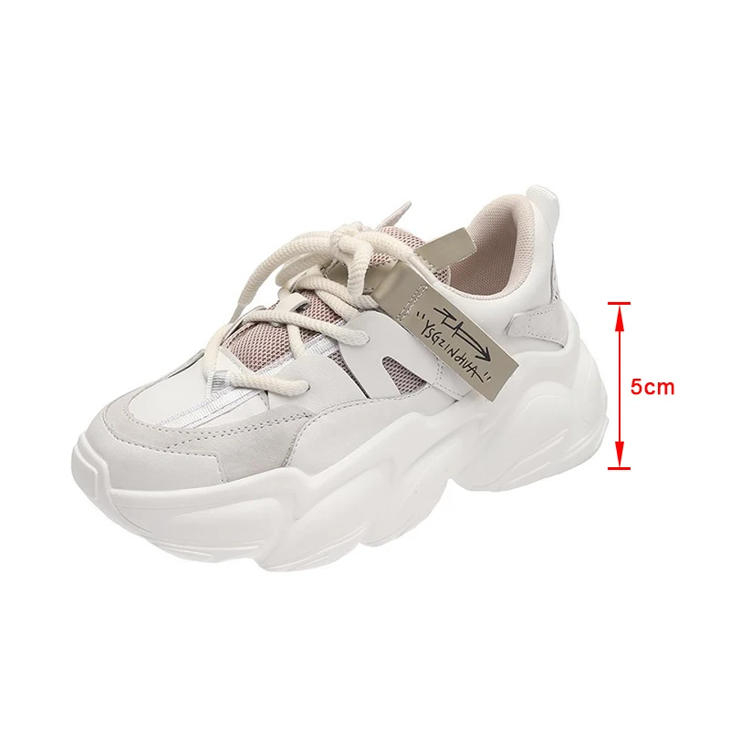 

2021 New Women's Shoes Thick Bottom Lace Up Mesh Breathable Comfortable Ladies Shoe Outdoor Spring Autumn Women Footwear Concise