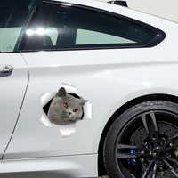 Hot Funny 3D British Shorthair Cat Car Stickers Motorcycle Decals Motorcycle Accessories Waterproof PVC 13cm 12cm
