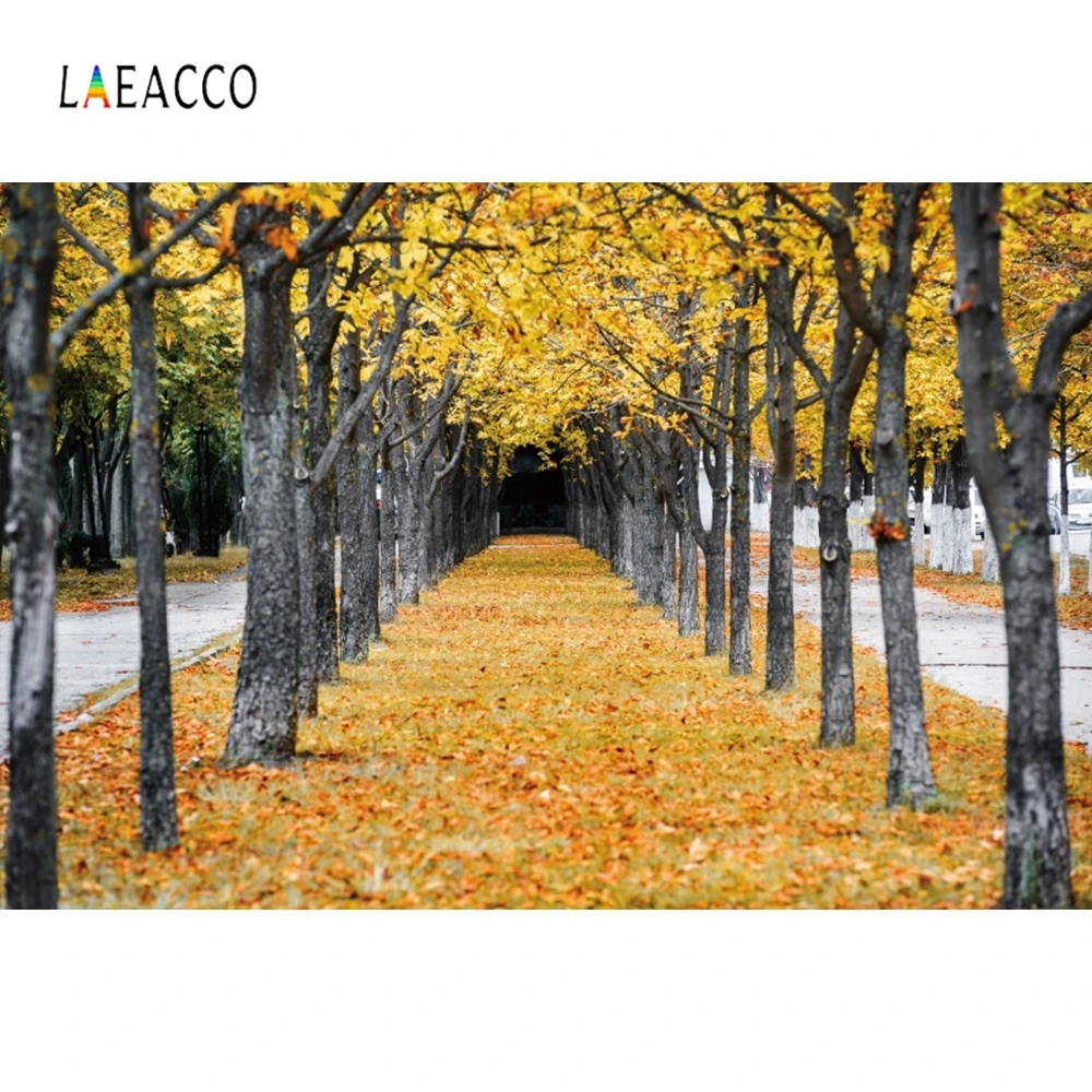 Laeacco Осенние декорации для фотосъемки с пейзажем лес парк кленовые деревья листья дорога фотофоны