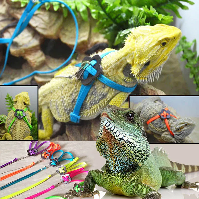 

Reptile Lizard Harness Leash Adjustable Walking Pet Cabrite Hauling Cable Rope Lizard Towing Rope Pet Supplies