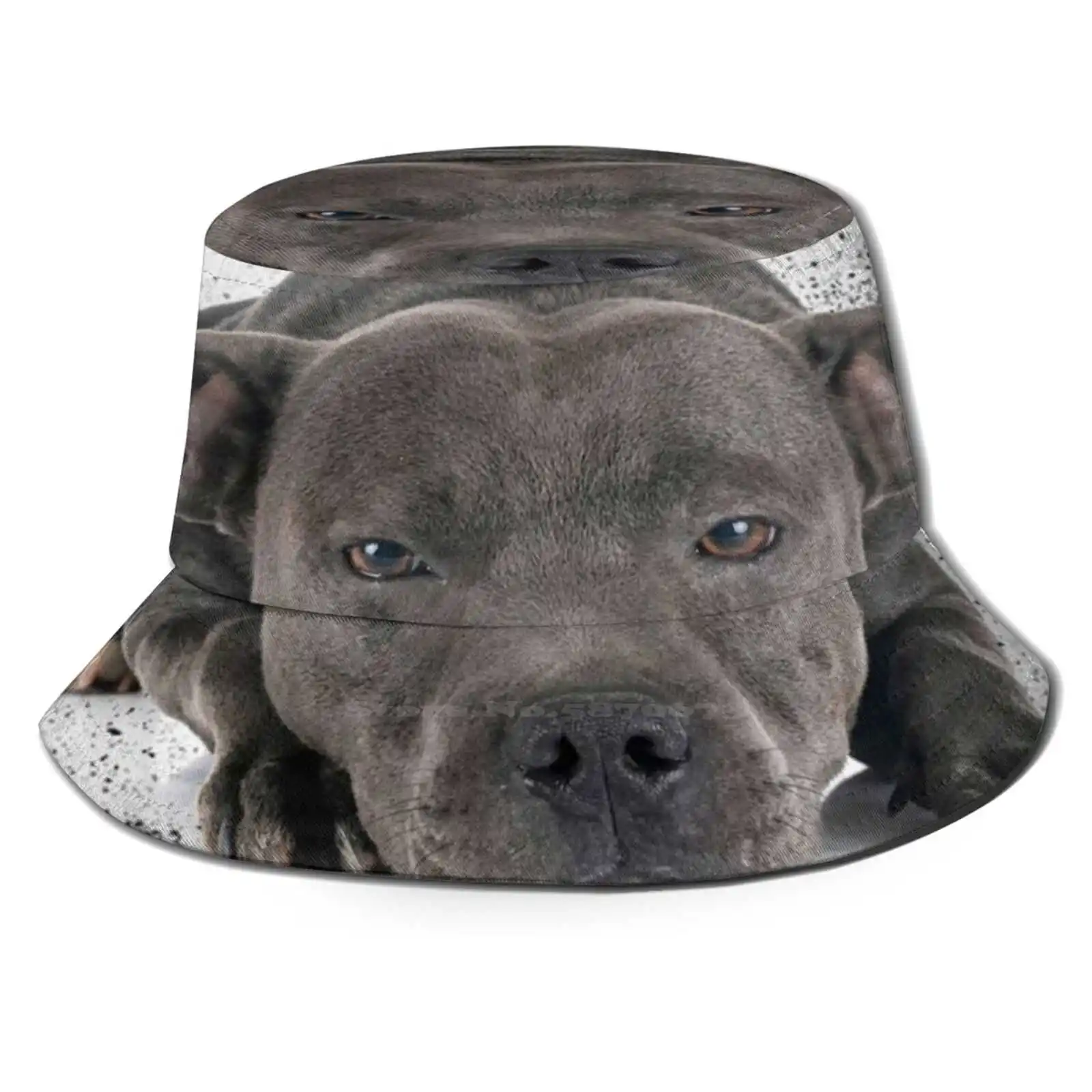 Love Is 4 Paws Waggy Tail Blue Staf Shire Bull Terrier Flat Top Breathable Bucket Hats Love Dogs Just A Girl Who Loves Dogs