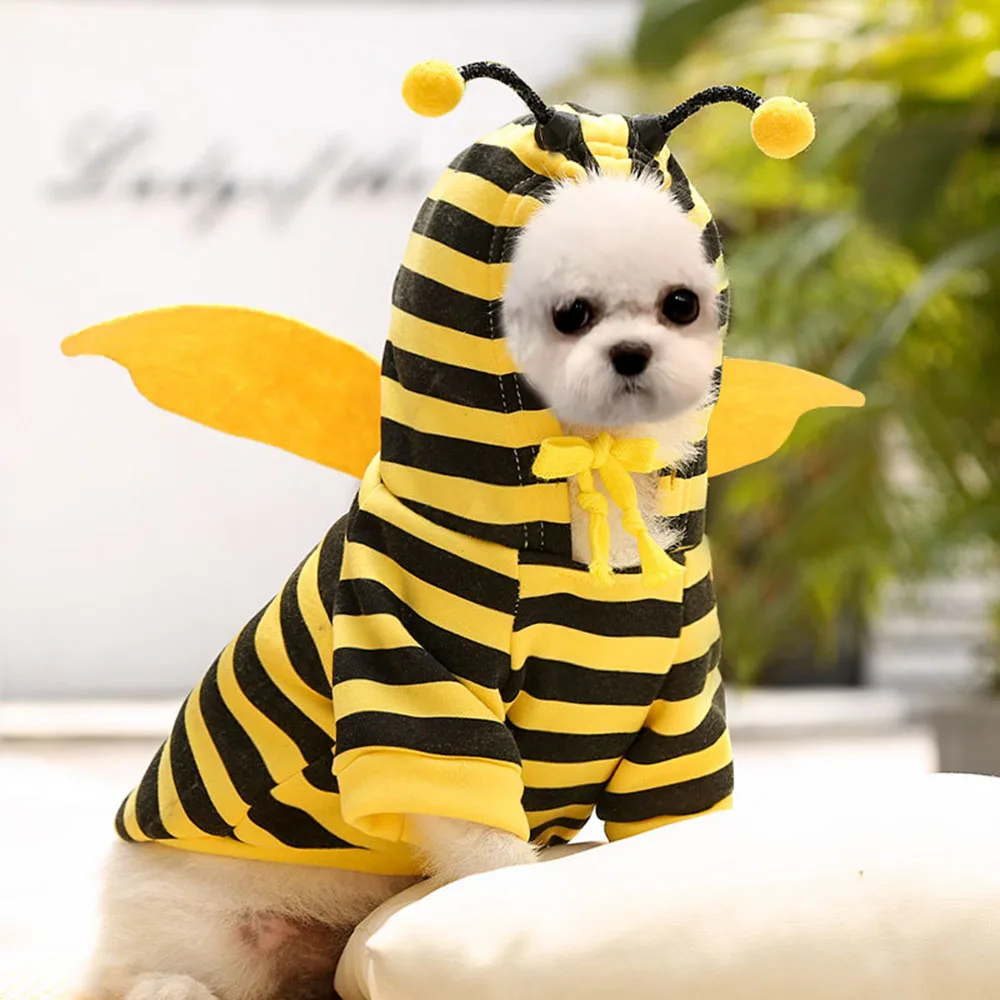 

Cute Funny Dog Costume Small Dog Puppy Honeybee Clothes Winter Pet Fleece Hoodies Sweater Coat for Dog Teddy Cat Costume Outfits