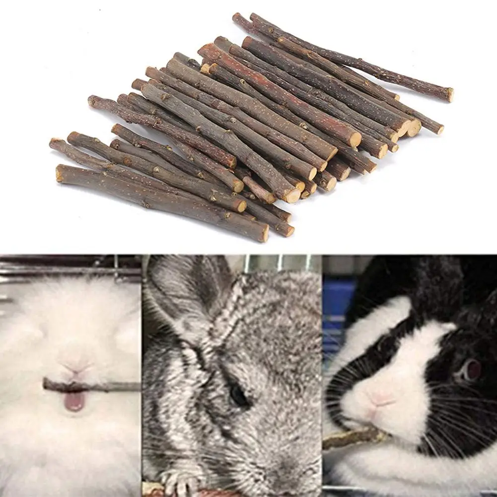 

20/40/60Pcs Pet Bunny Hamster Rabbit Chew Sticks Tree Branch Wood Toys