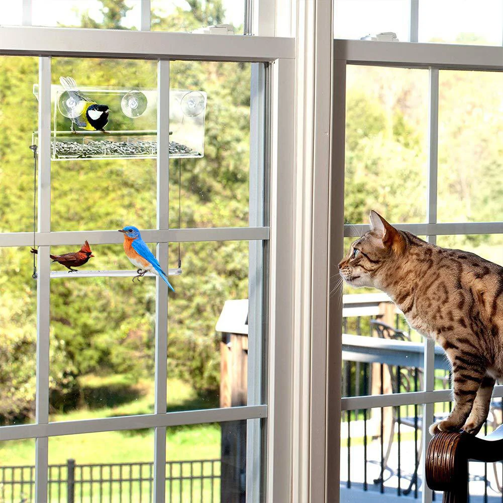 Кормушка для птиц акриловый прозрачный кормушка просмотра окон кормушки присоска дома|Подставки хранения и