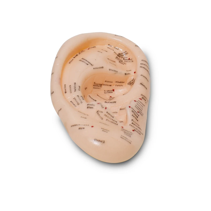 Английская версия ушных акупунктурных наушников Модель аурикулярного