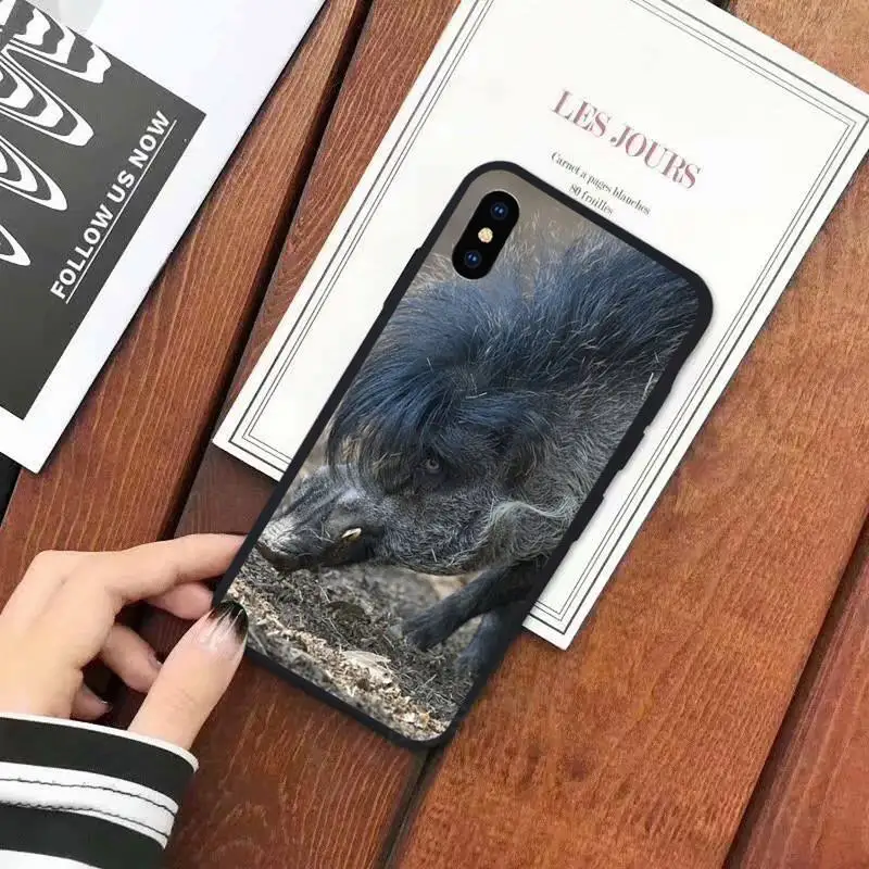 

Wild boar animals are ferocious Phone Case for iPhone 11 12 mini pro XS MAX 8 7 6 6S Plus X 5S SE 2020 XR