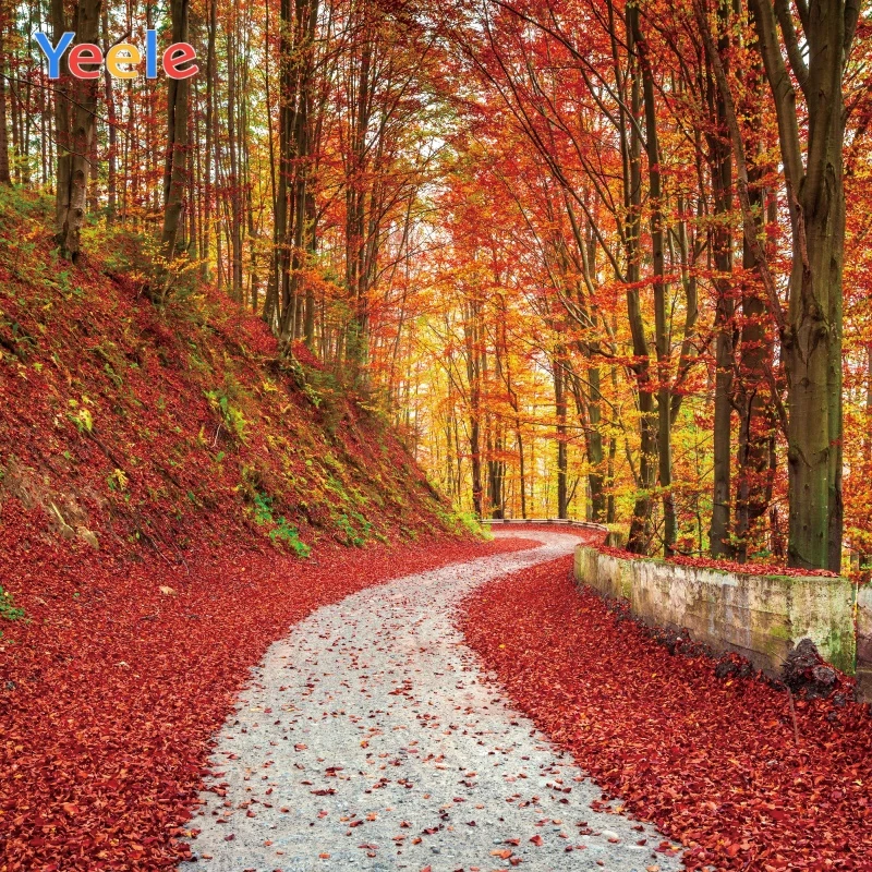 Yeele осенние фотообои лес пол камень дорога Ins фотографии фоны