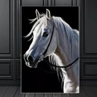 5D алмазная живопись сделай сам, вышивка, Белая лошадь, квадратные Стразы, алмазная вышивка крестиком, животное ручной работы, домашнее украшение для стен, подарок
