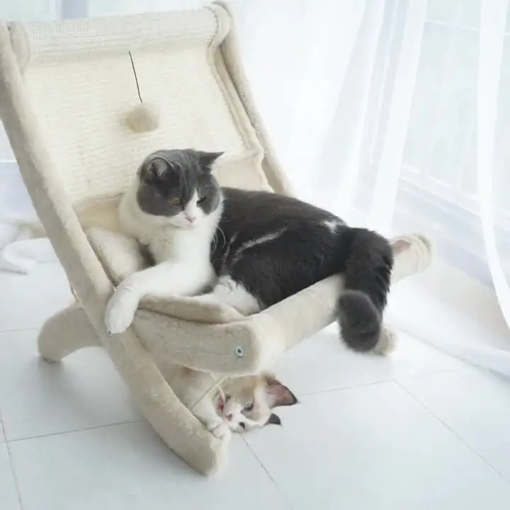 

Cat Litter Cat Chair Sunbathing Four Seasons Universal Cat Climbing Frame Cat Bed Cat Reclining Chair Bed Sisal Material