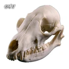 Полимерная модель черепа лисы BUF, украшение на Хэллоуин, статуя черепа, скульптура, аквариум, рептилии, зал, аксессуары для украшения