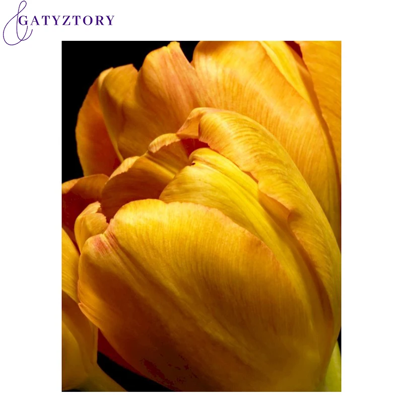 

GATYZTORY Oil Paint By Numbers Kits For Kids DIY Flowers Painting By Numbers On Canvas Frameless 60x75cm Lily Home Decor