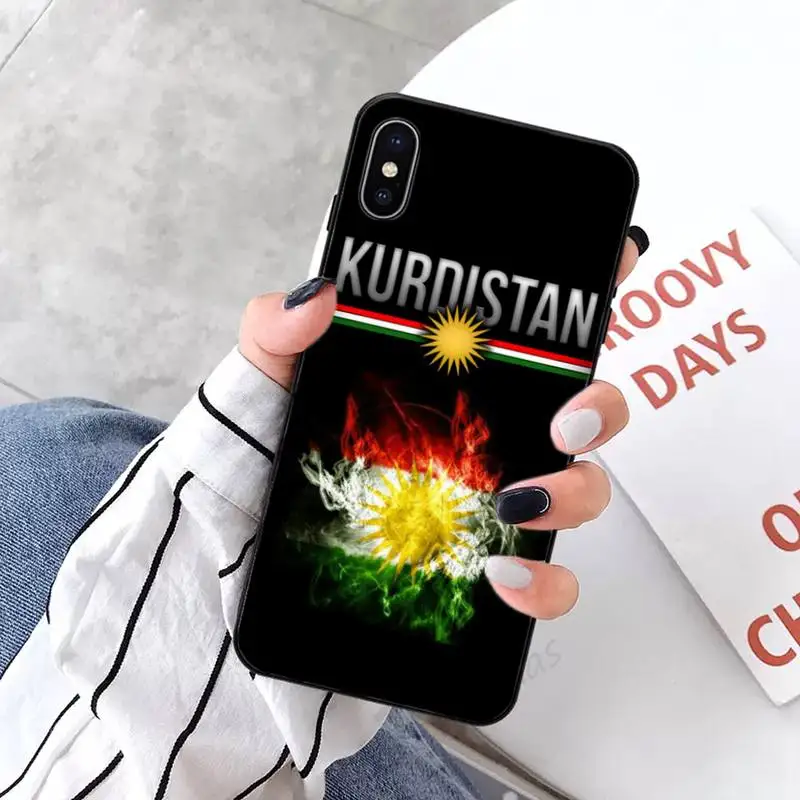 

Kurdistan Flag Lion fashion pattern Anti-fall mobile Phone Case coque for iPhone 11 12 pro XS MAX 8 7 6 6S Plus X 5S SE 2020 XR