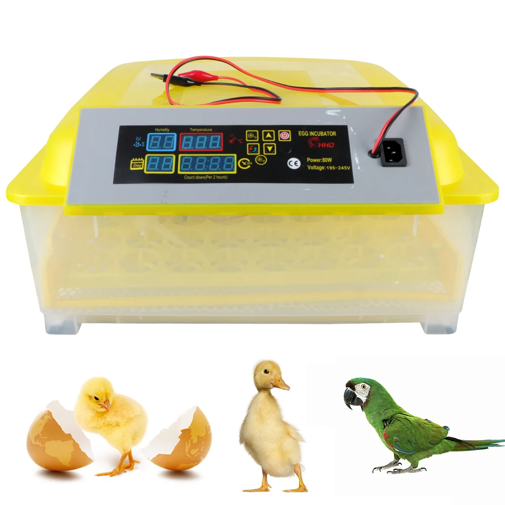 

Temperature Humidity Control EU Plug Bird Quail Chicken Brooder Egg-turning Poultry Hatching Machine Automatic 48 Egg Incubator