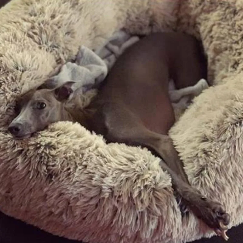 Soft Warm Round Pet Cat Bed Comfy Calming Dog Beds Washable r Large Medium Small Comfortable Kennel Easy To Clean Pet Nest House