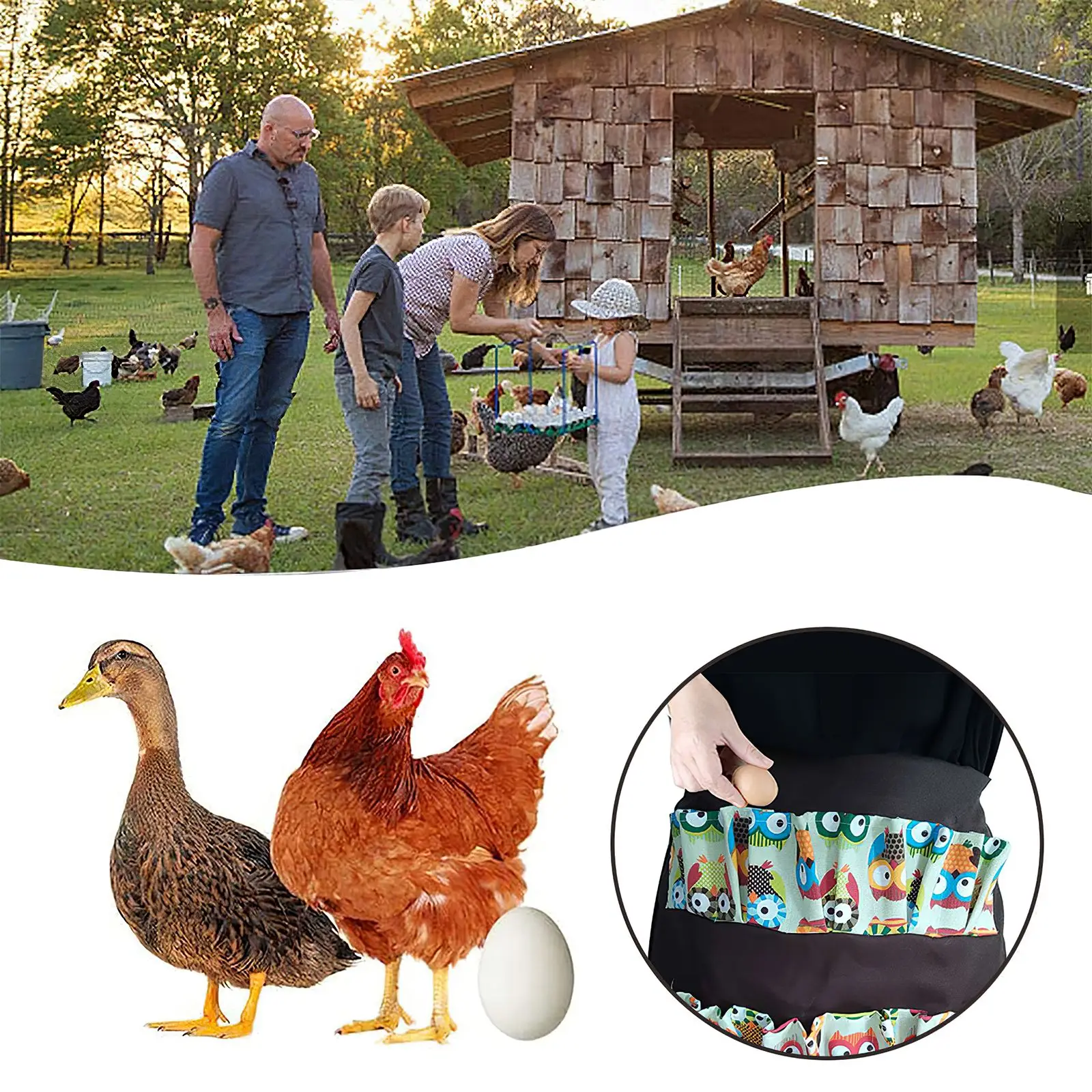 Коллекция яиц фартук для вечевечерние курица душистое утка гусиное яйцо хозяйка