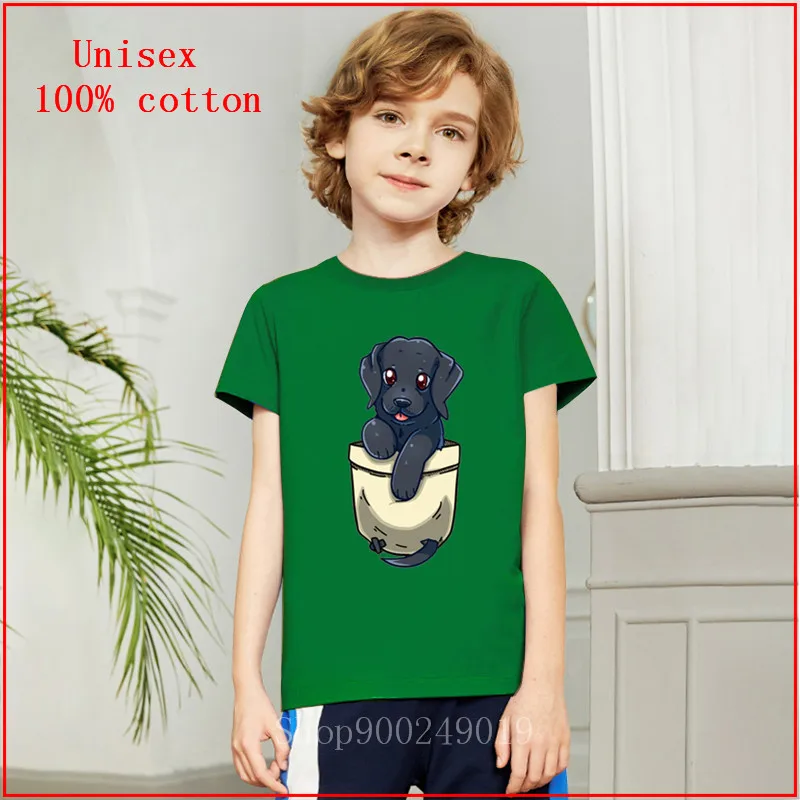 2020 летняя черная лаборатория Черный Лабрадор Собака ретривер Милая карманная