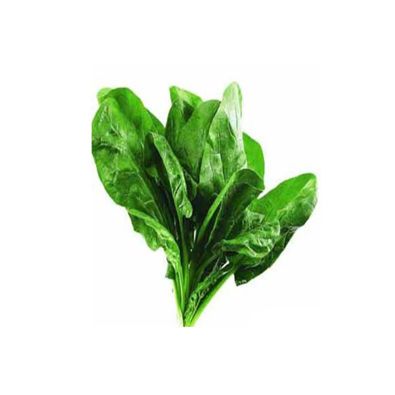 Шпинат не-ГМО органический здоровый китайский шпинат сад балкон украшения 300 шт |