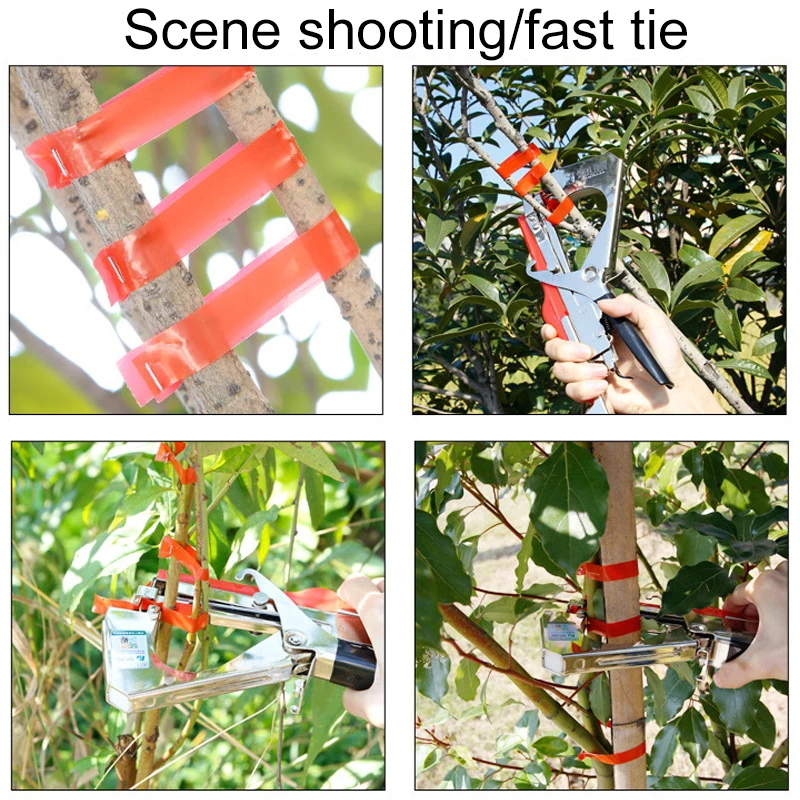 

Garden Plant Tying Machine Branch Fixed Device with 3 Rolls of Strap&1 Box of Nails Vines-binding Tool for Horticulture BV45