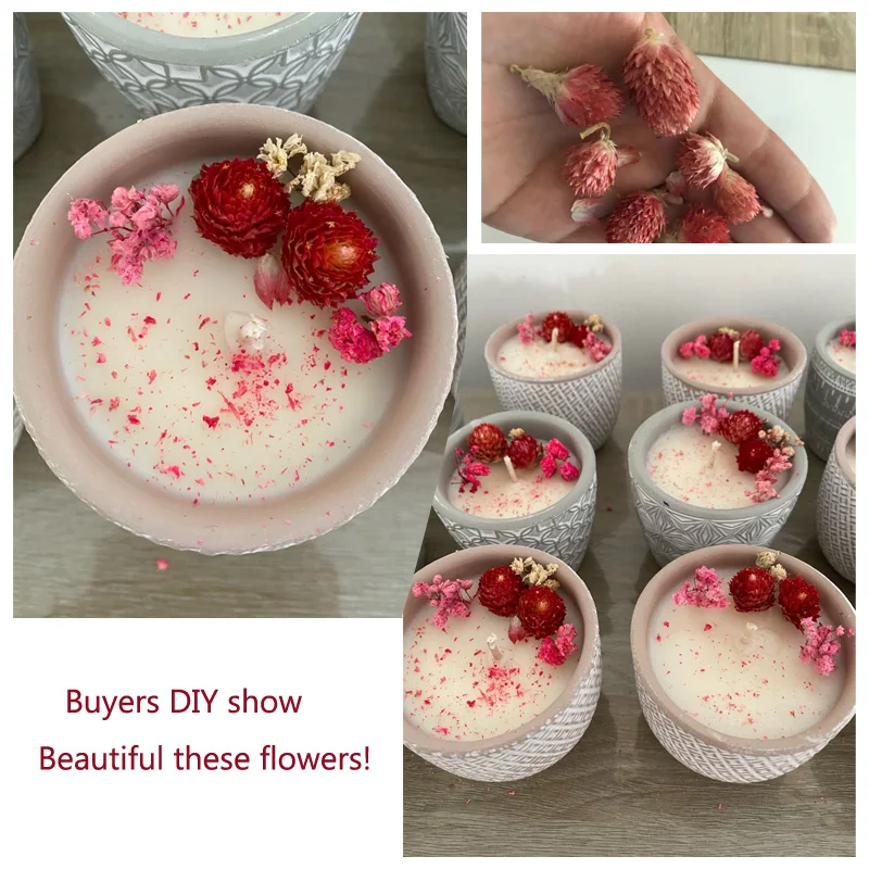 Натуральные сухие цветы 20 шт. красные бутоны гомфрены прессованные для свадебной