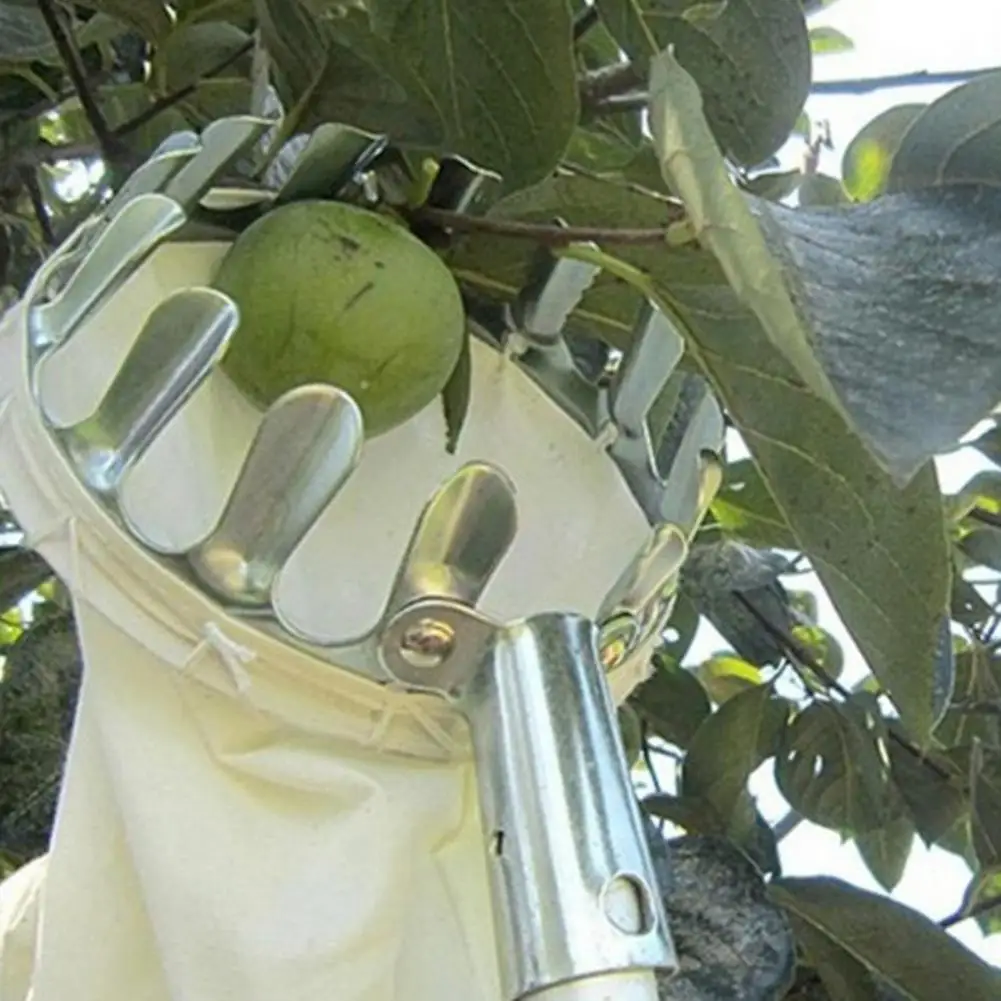 

Labor-saving Attractive Manual Anti-rust Picking Tool Metal Fruit Picker Lightweight for Garden