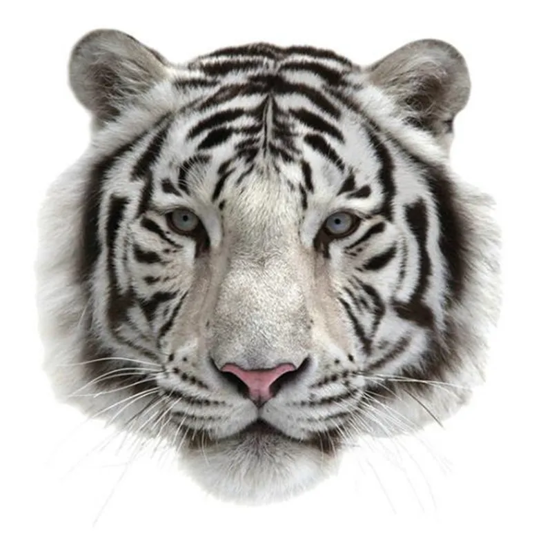 Байкерская пластырь термопереводная печать наклейки сделай сам женская одежда