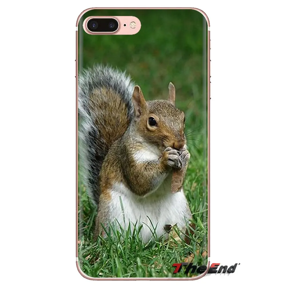 squirrel For LG G3 G4 Mini G5 G6 G7 Q6 Q7 Q8 Q9 V10 V20 V30 X Power 2 3 K10 K4 K8 2017 Soft Transparent Shell Covers |
