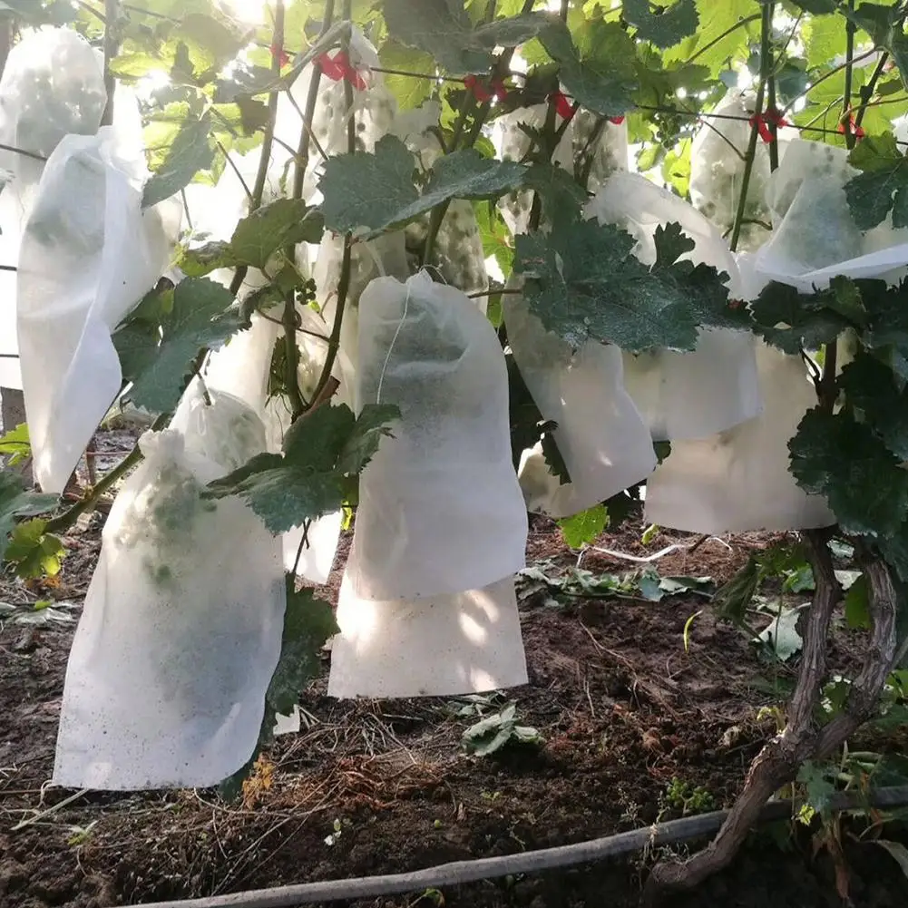 100 шт. защитные пакеты для винограда защитный садовый пакет фруктов