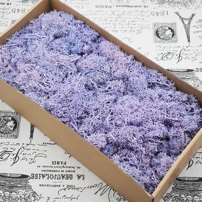 

natrual moss Immortal Moss PreservedFreshFlower Decorative Wall DIY Flower Decoration