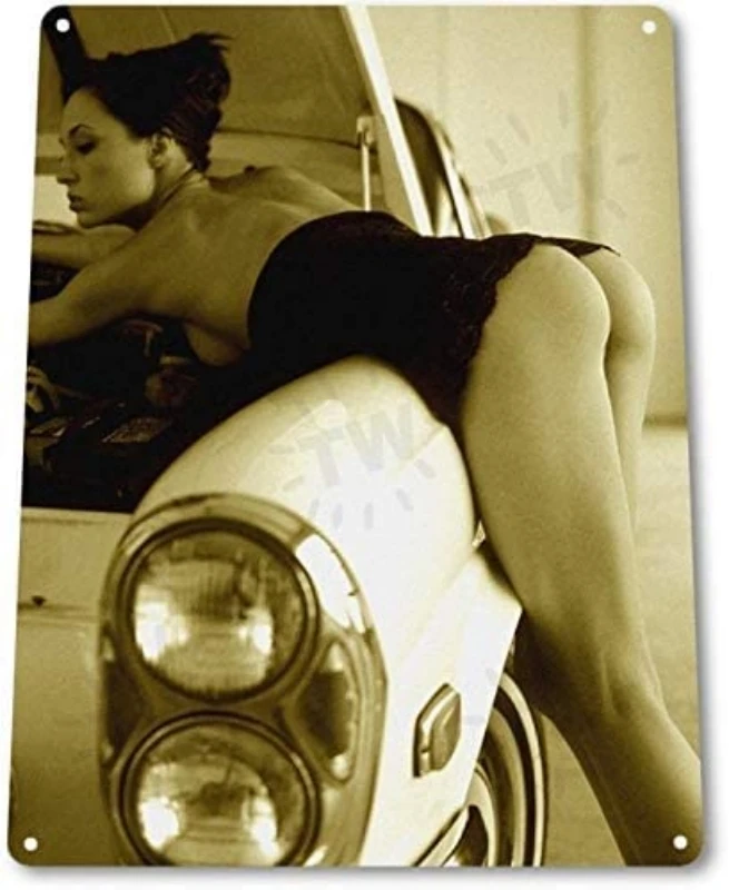 Try It Pinup Girl Sexy Hot Rod Car Garage Auto Shop Man Cave Decor Metal Tin Sign 8x12in