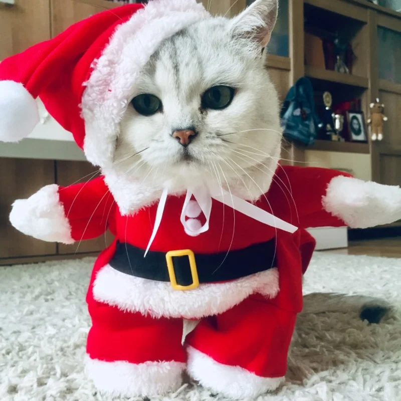 Одежда для хот-догов, рождественские костюмы для собак, костюм Санта-Клауса для щенков, теплые куртки для кошек, забавная зимняя одежда, товары для домашних животных