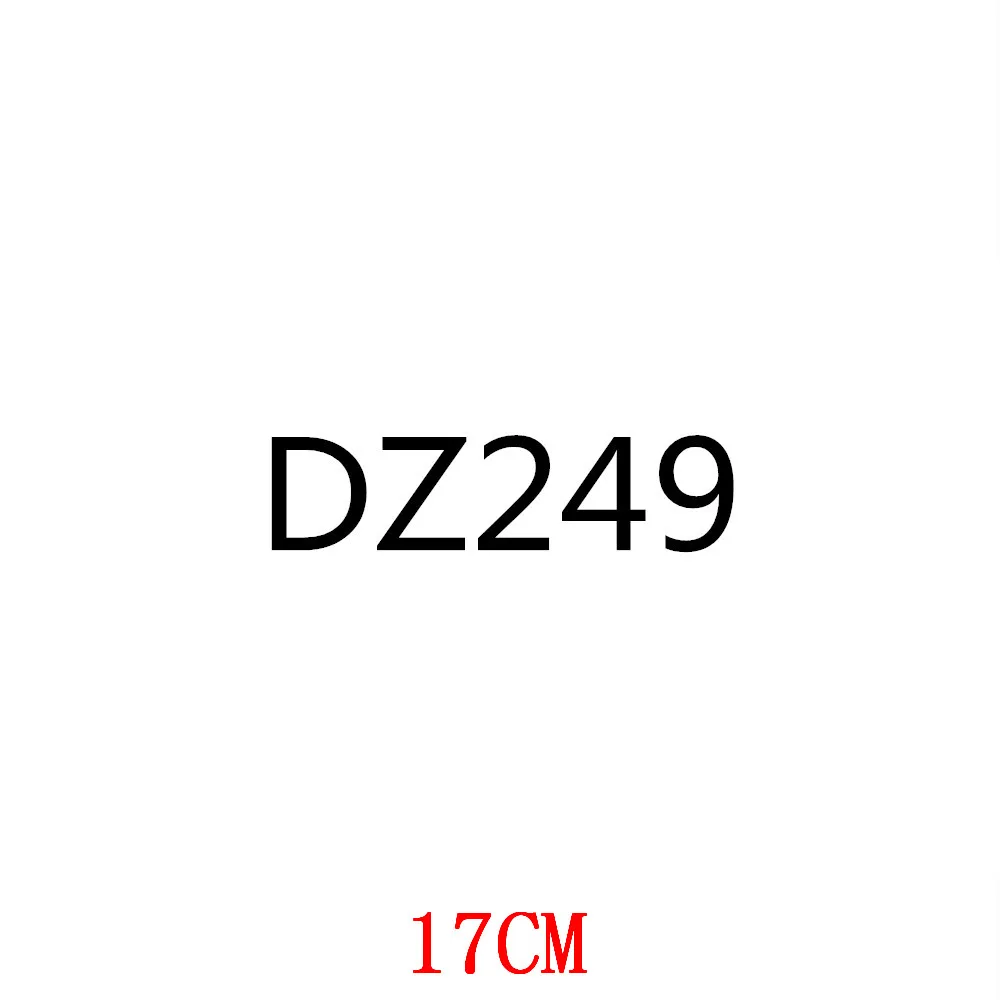 

DZ249-17