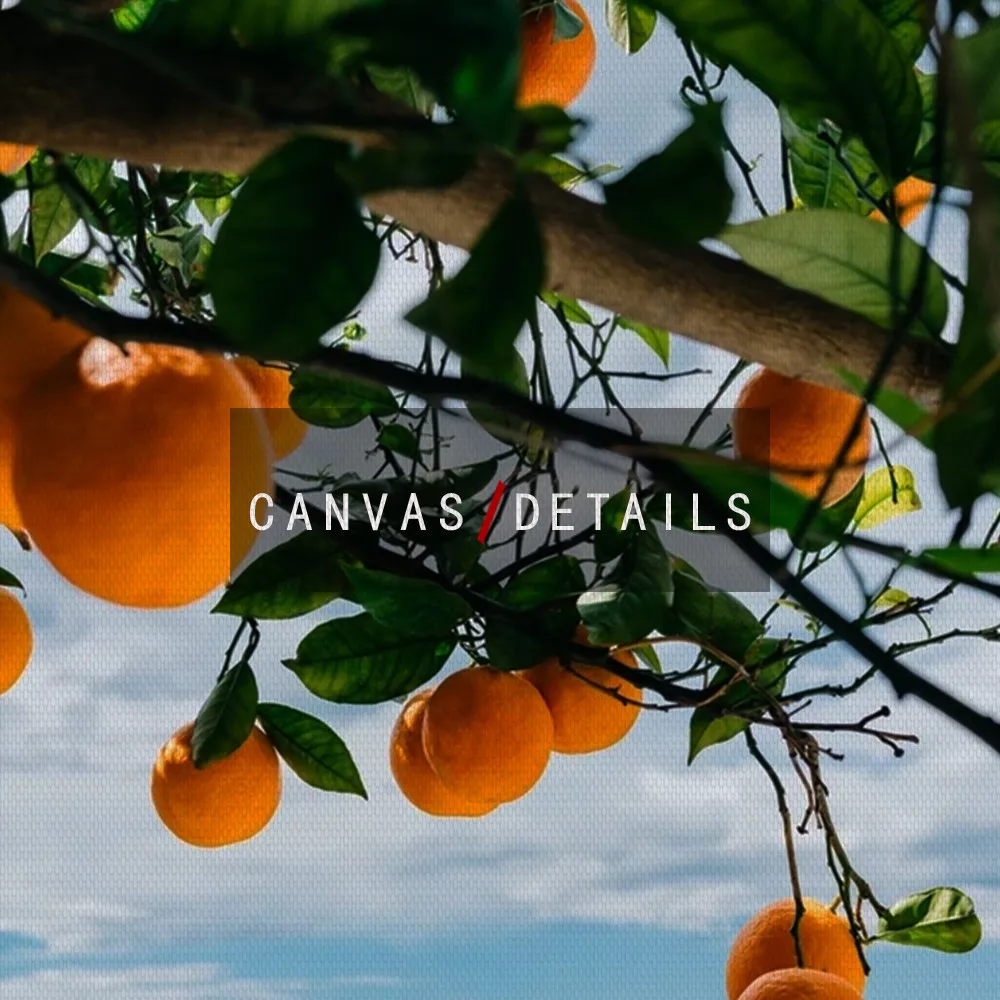 Scandinavian Style Fresh Lemon Oranges Poster Canvas Painting Fruit Wall Art Pictures for Living Room Nordic Modern Home Decor | Дом и сад