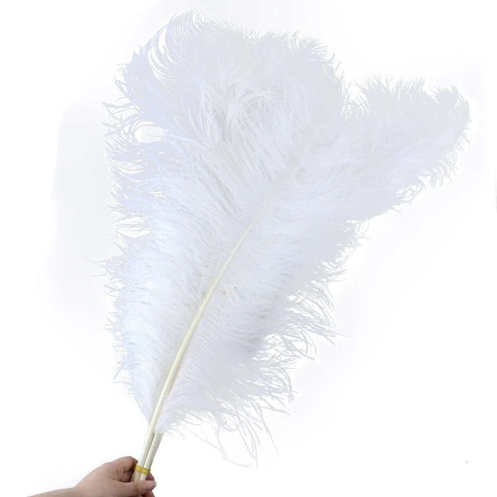 

10pcs White Natural Ostrich Feathers Pole Fluffy Decorative Feathers 5-75CM Long for Diy Craft Home Party Christmas Decoration