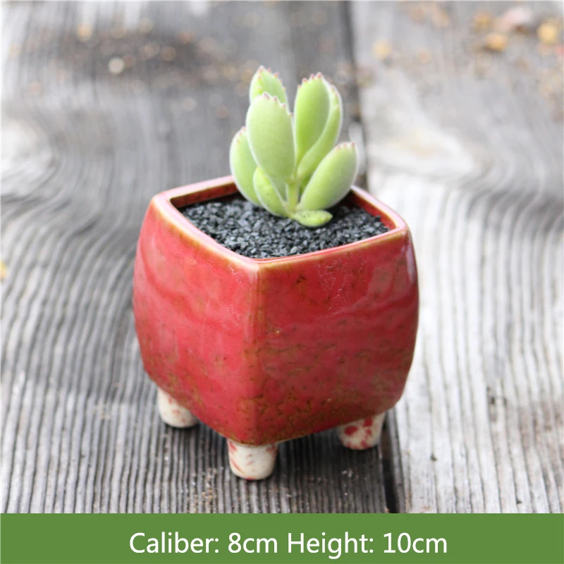Новый квадратный суккулентный горшок для растений печь становится керамической